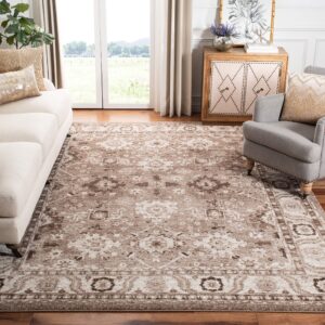 SAFAVIEH Vintage Hamadan Collection Area Rug - 9' x 12', Taupe, Oriental Traditional Persian Design, Non-Shedding & Easy Care, Ideal for High Traffic Areas in Living Room, Bedroom (VTH214T)