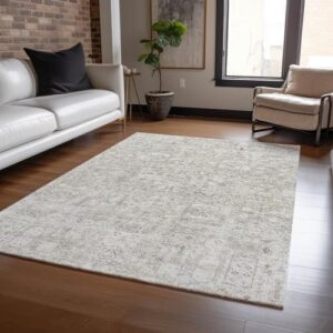 Addison Rugs Chantille ACN611 Taupe 9' x 12' Indoor Outdoor Area Rug, Easy Clean, Machine Washable, Non Shedding, Bedroom, Living Room, Dining Room, Kitchen, Patio Rug