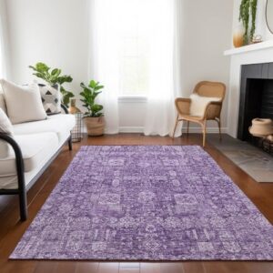 Addison Rugs Chantille ACN637 Purple 9' x 12' Indoor Outdoor Area Rug, Easy Clean, Machine Washable, Non Shedding, Bedroom, Living Room, Dining Room, Kitchen, Patio Rug