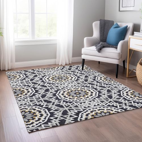 Addison Rugs Chantille ACN619 Black 9' x 12' Indoor Outdoor Area Rug, Easy Clean, Machine Washable, Non Shedding, Bedroom, Living Room, Dining Room, Kitchen, Patio Rug