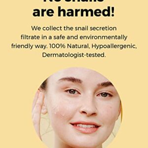 COSRX All About Snail Korean Skincare | TSA Approved Travel Size, Gift Set with Face Gel Cleanser, Essence, Cream & Eye-cream, Repairing, Recovering, Rejuvenating Kit with Snail Mucin, Korean Skincare