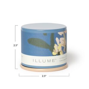 Illume Beautifully Done Essentials Citrus Crush Demi Vanity Tin Scented Candle, 3 Ounce