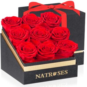 NATROSES Forever Preserved Roses in a Box, 100% Real Roses That Last Up to 3 Years, Flowers for Delivery Prime Birthday, Valentines Day Gifts for Her, Birthday Gifts (Red)