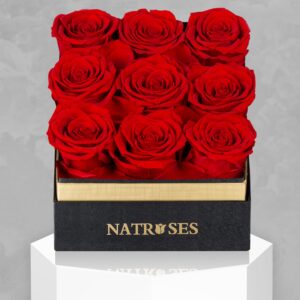 NATROSES Forever Preserved Roses in a Box, 100% Real Roses That Last Up to 3 Years, Flowers for Delivery Prime Birthday, Valentines Day Gifts for Her, Birthday Gifts (Red)