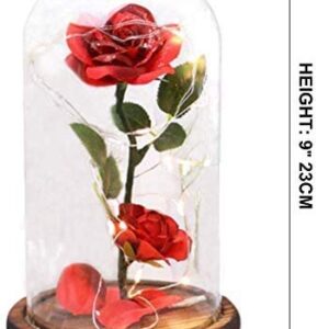 URBANSEASONS Beauty and The Beast Rose Flowers,Women Gifts Idea Birthday, Unique Gifts for Her,Anniversary Rose Gift Decorations Artificial Flower Gift Romantic Red Silk Rose, Flower in Glass Dome