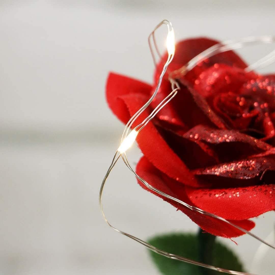 URBANSEASONS Beauty and The Beast Rose Flowers,Women Gifts Idea Birthday, Unique Gifts for Her,Anniversary Rose Gift Decorations Artificial Flower Gift Romantic Red Silk Rose, Flower in Glass Dome