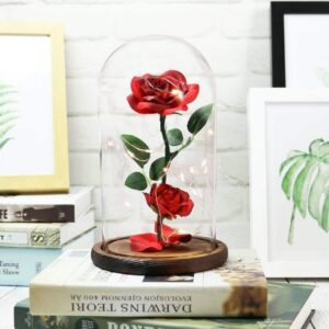 URBANSEASONS Beauty and The Beast Rose Flowers,Women Gifts Idea Birthday, Unique Gifts for Her,Anniversary Rose Gift Decorations Artificial Flower Gift Romantic Red Silk Rose, Flower in Glass Dome