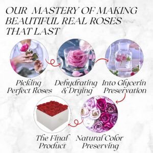 GLAMOUR BOUTIQUE Preserved Roses in a Box - Valentines Day Gifts for Her, wife & Mom, 16-Piece Rose Forever Flowers Decor for Birthday Gift, Get Well Flower Bouquet Cased in White Box with Cover - Red