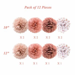 ANSOMO Rose Gold Tissue Paper Pom Poms Flowers Dusty Pink Coral Polka Dot Wall Hanging Wedding Birthday Bridal Baby Shower Party Decorations 12" 10" Pack of 12