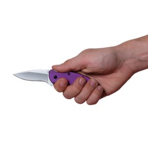 Kershaw Purple Scallion Pocket Knife, 2.25” Stainless Steel Blade with Assisted Opening, Aluminum Handle with Single-Position Pocketclip, Small Folding Knife