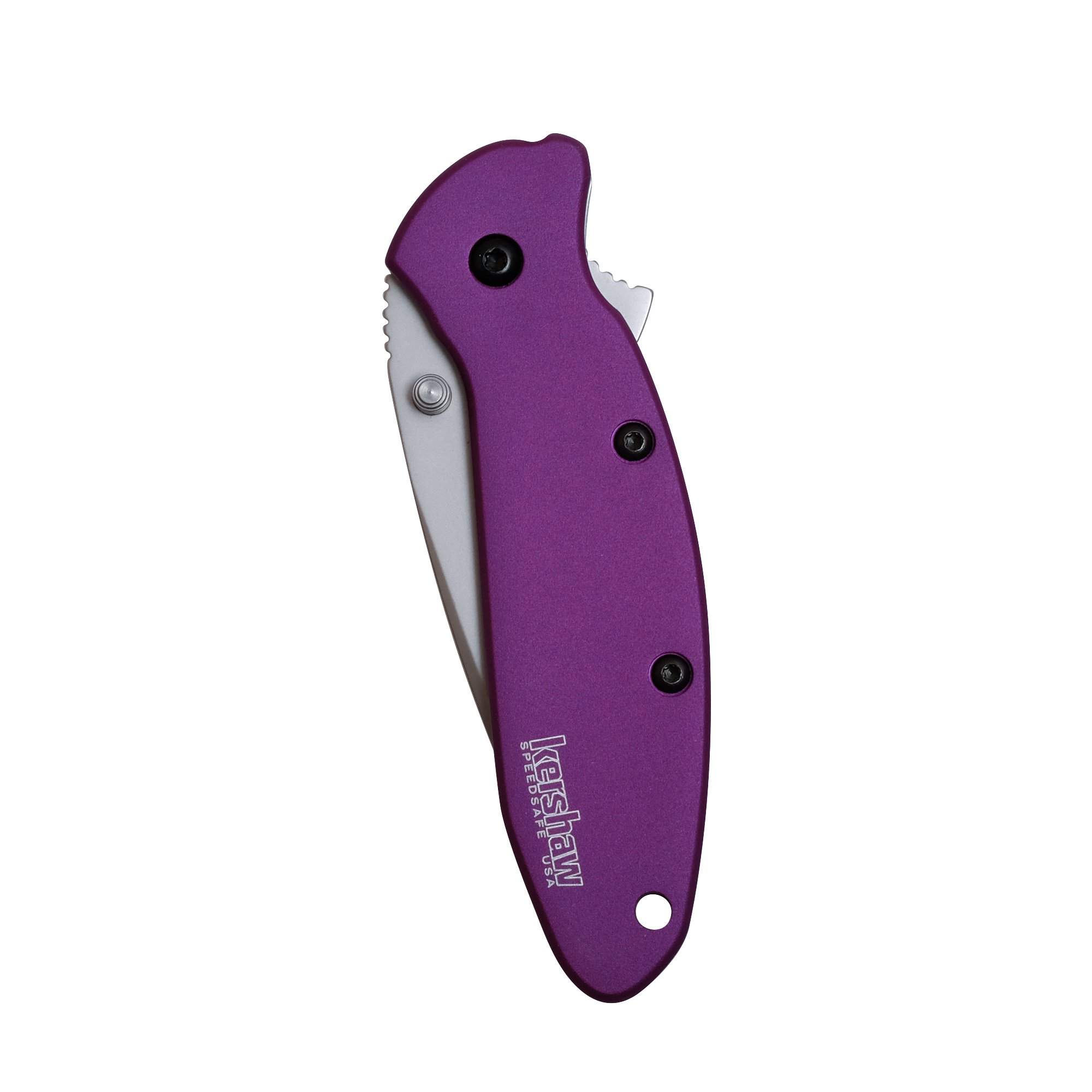 Kershaw Purple Scallion Pocket Knife, 2.25” Stainless Steel Blade with Assisted Opening, Aluminum Handle with Single-Position Pocketclip, Small Folding Knife