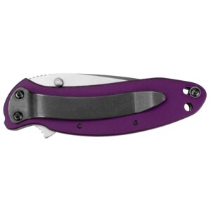 Kershaw Purple Scallion Pocket Knife, 2.25” Stainless Steel Blade with Assisted Opening, Aluminum Handle with Single-Position Pocketclip, Small Folding Knife