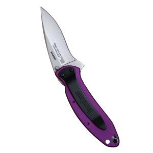 Kershaw Purple Scallion Pocket Knife, 2.25” Stainless Steel Blade with Assisted Opening, Aluminum Handle with Single-Position Pocketclip, Small Folding Knife