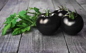 100 black cherry tomato seeds - made in usa - dwarf fruit seeds