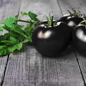 100 Black Cherry Tomato Seeds - Made in USA - Dwarf Fruit Seeds