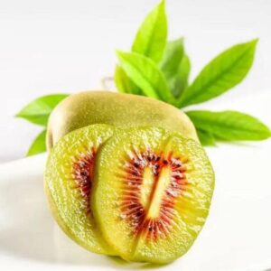 Red Flesh Kiwi Fruit Live Plants Chinese Gooseberry Actinidia chinensis - Height 12 inch for Yards and Garden Decoration