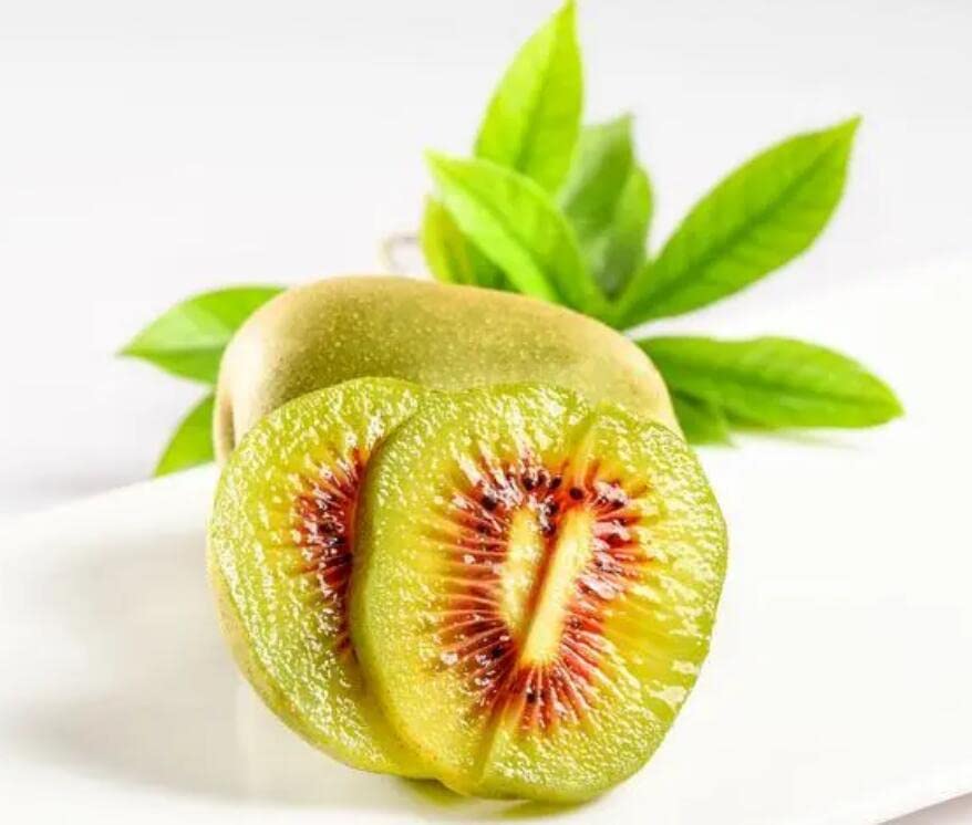 Red Flesh Kiwi Fruit Live Plants Chinese Gooseberry Actinidia chinensis - Height 12 inch for Yards and Garden Decoration