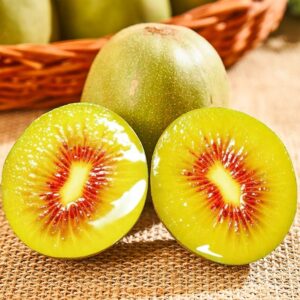 Red Flesh Kiwi Fruit Live Plants Chinese Gooseberry Actinidia chinensis - Height 12 inch for Yards and Garden Decoration