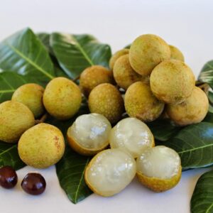 Dwarf Longan Seeds Evergreen Tree Small, Round, Sweet and Juicy Fruit Bonsai Container Outdoor 5Pcs Fruit Tree Seeds by YEGAOL Garden