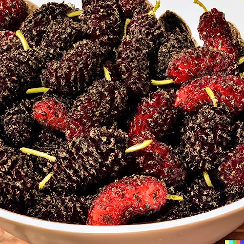 Mulberry "Dwarf Everbearing" Live Tree for Sale (4 Pack) | Easy to grow plants | Edible fruit plant for sustainable living | Grow your own food on your edible organic garden| Live for planting| 3-7 in