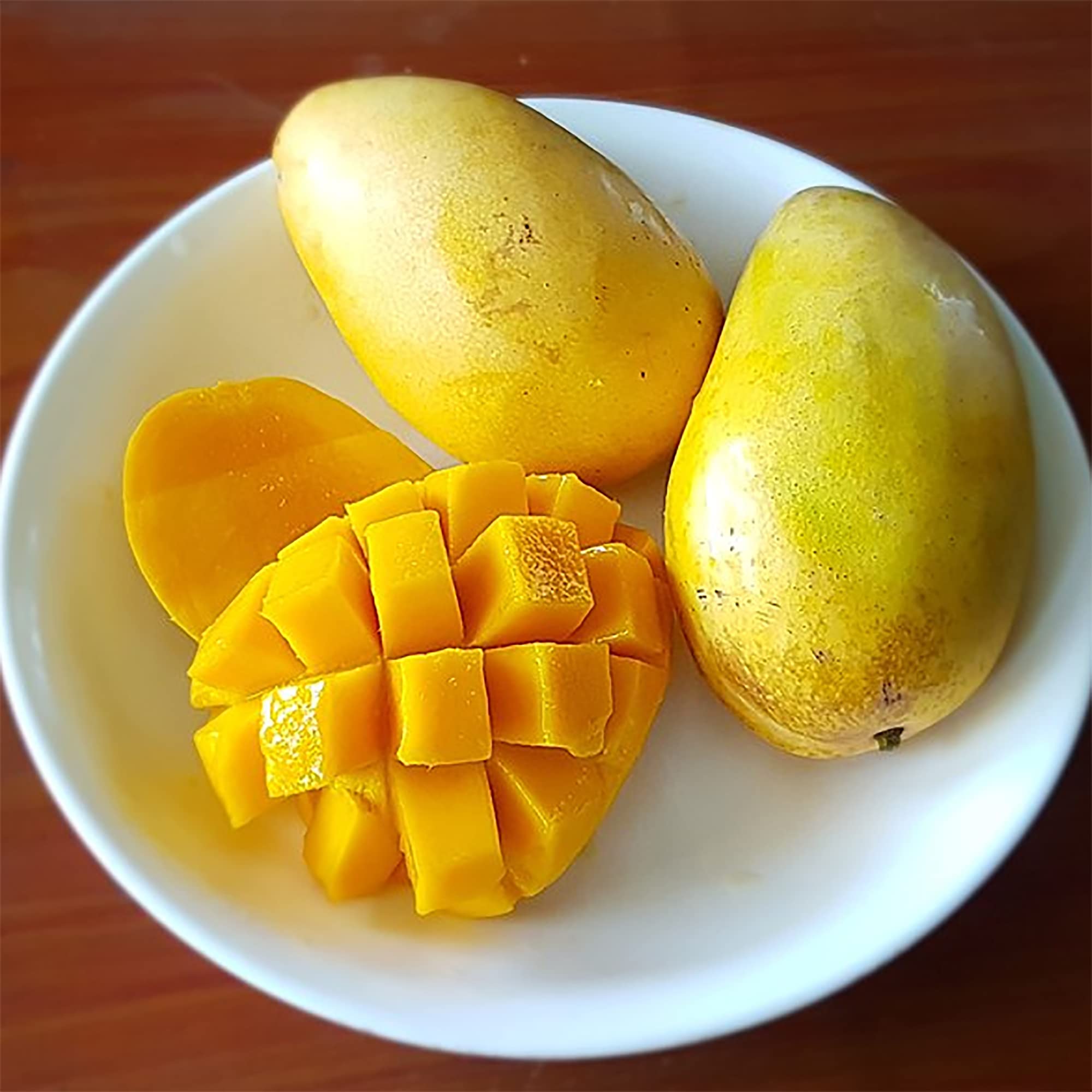 QAUZUY GARDEN 2 Mango Mangifera Indica Seeds Sweet Juicy Fruit Tasty Organic Non-GMO Heirloom Fruit Seeds to Plant Home Garden Grow Your Own Delicious Fruit Plant