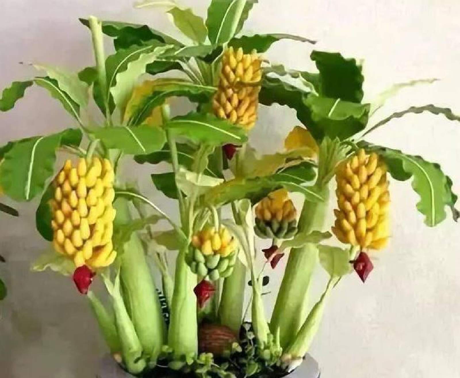 100pcs Dwarf Banana Seeds Bonsai Tree Tropical Fruit Seeds