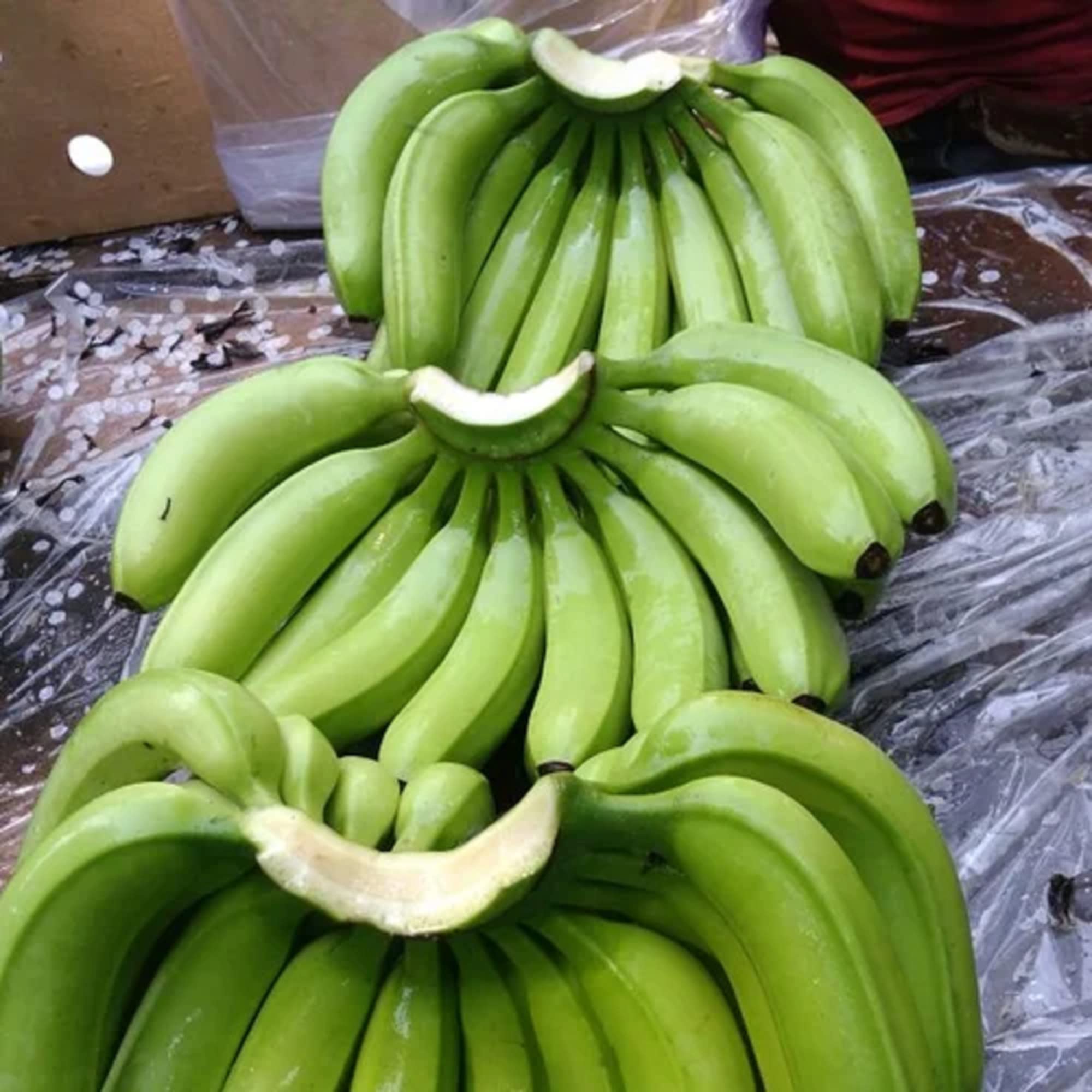 CHUXAY GARDEN Dwarf Cavendish Banana Seed 5 Seeds Tropical Plant Edible Sweet Fruit Rich in Vitamines Great for Garden