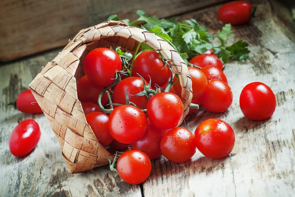 Dwarf Bush Cherry Tomato Seeds for Planting - 100+ Seeds - Amazing Taste - Great for Salads - Made in USA. Ships from Iowa. Dwarf Fruit Seeds