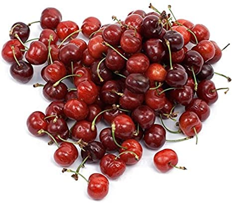 25 Bonsai Dwarf Cherry Tree Seeds | Indoor or Outdoor Fruit Tree | Made in USA, Ships from Iowa