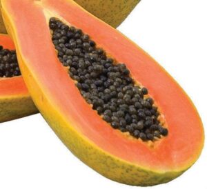 david's garden seeds fruit papaya red maradol dwarf 4356 (red) 15 non-gmo, hybrid seeds