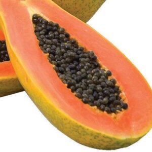 David's Garden Seeds Fruit Papaya Red Maradol Dwarf 4356 (Red) 15 Non-GMO, Hybrid Seeds