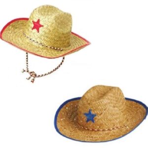 Novelty Treasures Costume Play Set Child Western Cowboy Hat, Plastic Sheriff Badge, and Matching Bandana Scarf (2 Sets)