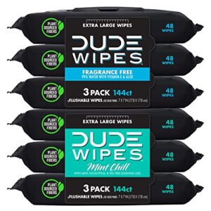 DUDE Wipes - Flushable Wipes - 6 Pack, 288 Wipes - Unscented & Mint Chill Combo, Extra-Large Adult Wet Wipes with Vitamin-E & Aloe for at-Home Use - Septic and Sewer Safe