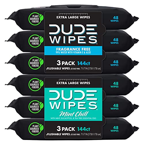 DUDE Wipes - Flushable Wipes - 6 Pack, 288 Wipes - Unscented & Mint Chill Combo, Extra-Large Adult Wet Wipes with Vitamin-E & Aloe for at-Home Use - Septic and Sewer Safe