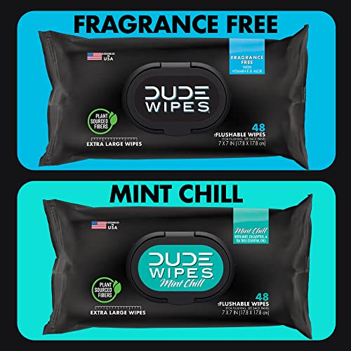 DUDE Wipes - Flushable Wipes - 6 Pack, 288 Wipes - Unscented & Mint Chill Combo, Extra-Large Adult Wet Wipes with Vitamin-E & Aloe for at-Home Use - Septic and Sewer Safe