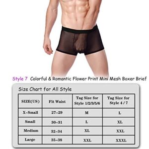 Evankin Men's Sexy Mesh Boxer Briefs Transparent Lingerie Black Mesh Transparent Bulge Pouch Valentines Underwear(45Black,XXL)