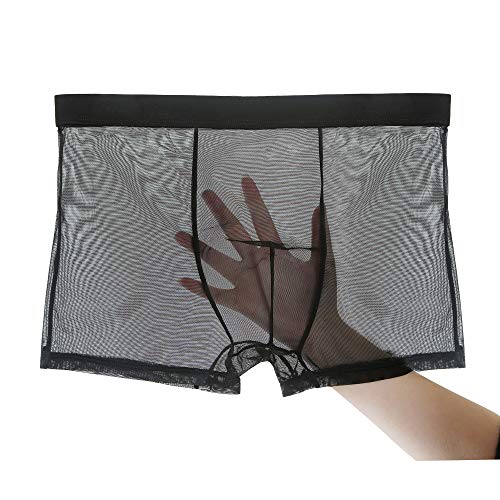 Evankin Men's Sexy Mesh Boxer Briefs Transparent Lingerie Black Mesh Transparent Bulge Pouch Valentines Underwear(45Black,XXL)