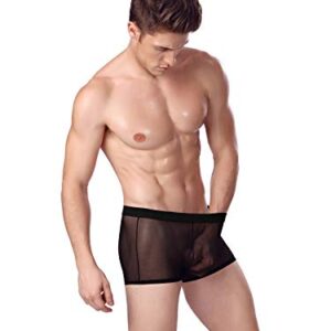 Evankin Men's Sexy Mesh Boxer Briefs Transparent Lingerie Black Mesh Transparent Bulge Pouch Valentines Underwear(45Black,XXL)