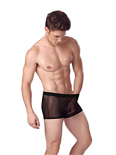 Evankin Men's Sexy Mesh Boxer Briefs Transparent Lingerie Black Mesh Transparent Bulge Pouch Valentines Underwear(45Black,XXL)