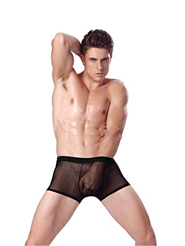 Evankin Men's Sexy Mesh Boxer Briefs Transparent Lingerie Black Mesh Transparent Bulge Pouch Valentines Underwear(45Black,XXL)