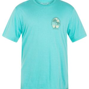 Hurley Mens Everyday Washed Graphic T-Shirt, Tropical Twist, X-Large US