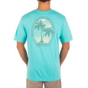 Hurley Mens Everyday Washed Graphic T-Shirt, Tropical Twist, X-Large US