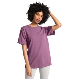 Comfort Colors Adult Short Sleeve Tee, Style G1717, Berry (2-pack), Large