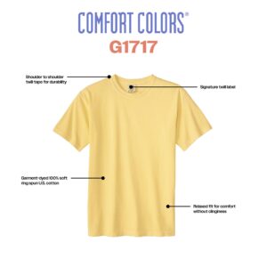 Comfort Colors Adult Short Sleeve Tee, Style G1717, Berry (2-pack), Large