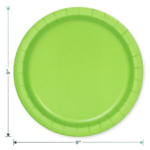 Solid Lime Green Paper Dinner Plates and Luncheon Napkins, Green Party Supplies and Table Decorations (Serves 16)