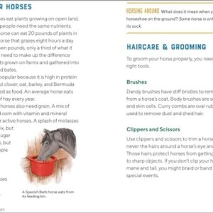 All About Horses: A Kid's Guide to Breeds, Care, Riding, and More!