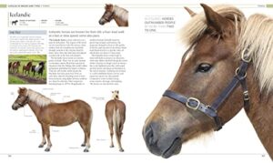 The Horse Encyclopedia (DK Pet Encyclopedias)