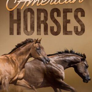 American Horses