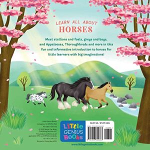 Little Genius Horses