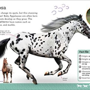 The Everything Book of Horses and Ponies (Everything About Pets)